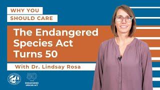 Why You Should Care: The Endangered Species Act Turns 50