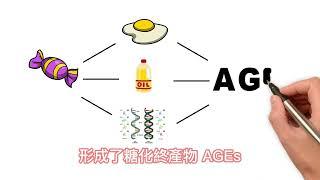 [手繪精華] 糖化作用: 糖化終產物 AGEs 如何造成 動脈粥狀硬化 心血管疾病