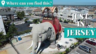 Take a tour inside America's oldest roadside attraction, Lucy the Elephant | Jersey's Best