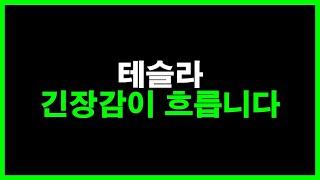 테슬라 긴장감이 흐릅니다