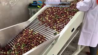 popular dates jujube sorting machine, fruits grading machine