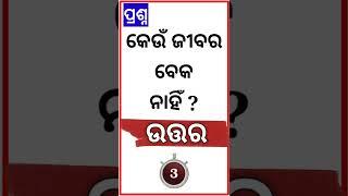 Odia Dhaga Dhamali IAS Questions | Clever Q & Ans | Odia Dhaga katha | Odia Gk |Odisha Education 360