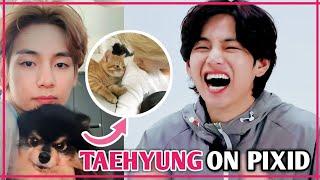 BTS V Becomes 'Imposter' On PIXID, Taehyung As A Puppy Owner, Pretends To Be a Fake Cat Owner