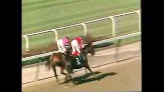 Affirmed - 1978 Belmont Stakes (CBS footage)