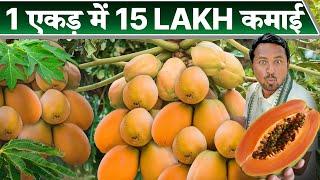 महीने का 1 लाख ऐसे कमाओPapaya Farming | खेती का गेमचेंजर | Indian Farmer