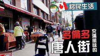 遊走深秋下的多倫多唐人街 [Eng Sub: Walking in Toronto Chinatown]