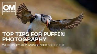 Top Tips for Puffin Photography | With OM SYSTEM Ambassador Rob Cottle