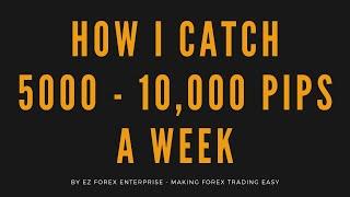 HOW I CATCH 5000 - 10000 PIPS A WEEK USING THE ADR | FOREX TRADING 2020