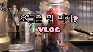 VLOG) 홀로 오늘은 뭐 먹지? | What will Hollo eat today?