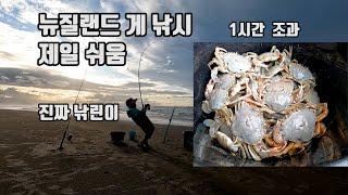 낚린이 게 낚시 Crab Fishing (날씨 안 좋아도 잘 잡힘)