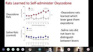 A1 Astrocytes in Oxycodone Addiction