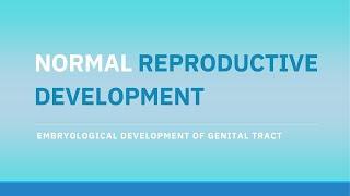 Understanding Reproductive Development: From Embryo to Puberty | The A-Z of Obstetrics & Gynaecology