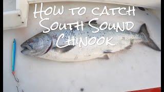 How to CATCH South Sound CHINOOK Salmon 2023 - June and early July