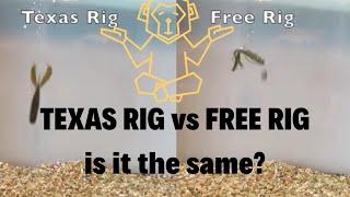 Free Rig vs Texas Rig UNDERWATER TEST