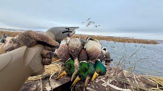 Late Season Solo Duck Hunting! (Limited Out)