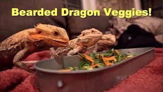 What Veggies I Feed My Bearded Dragon !! | Daily Reptile Routine