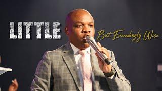 Little but exceedingly wise 3 | Pastor Musa Mabasa