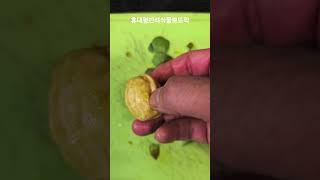 6월 호두 벗겨보니 ‥!!