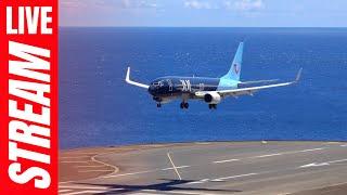  Madeira Airport LIVE Plane Spotting