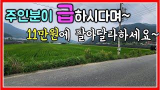 너무 급해요!!! 밀양 초동면 논 11만원 급매매 6000㎡ (1815평)