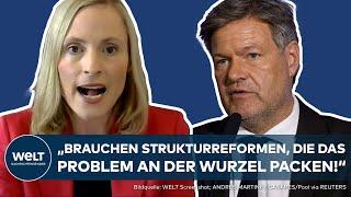 DEUTSCHLAND: "Desaströse Bilanz" - Wirtschaft stürzt massiv ab! Heftige Kritik an Robert Habeck