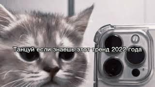 Танцуй если знаешь этот тренд 2022 году | Тренд 2022