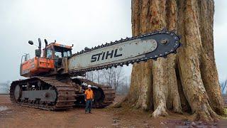 Extreme Dangerous Fastest Big Chainsaw Cutting Tree Machines | Monster Stump Removal Excavator #43