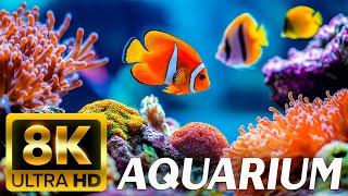 THE BEST 8K AQUARIUM For Relaxation  Relaxing Oceanscapes - Sleep Meditation 8K UHD Screensaver