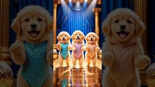 three puppy beautiful dance | #cutepuppy #cuteanimal #virqlshorts #shorts