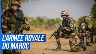 Le Renouveau de l'Armée Royale du Maroc