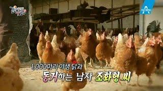 [예고] 천 마리 산닭 아빠의 나홀로 산골 일기_채널A_갈데까지 가보자 164회