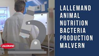 Lallemand Animal Nutrition Bacteria Production Malvern