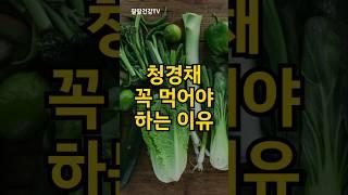 청경채 꼭 먹어야 하는 이유 #청경채 #중년 #건강