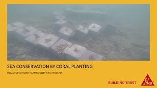 Sea Conservation with Coral Planting - Sika Thailand