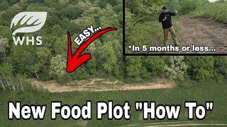 Easy Strategy For New Food Plot