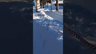 Экстремальный спуск с горы! Что-то пошло не так... Не повторять - опасно!  #тюбинг #зимниезабавы