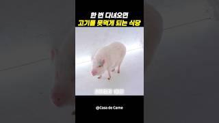 한 번 다녀오면 고기를 못먹게 되는 식당