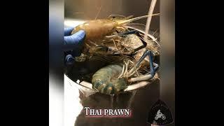 Thai prawn......very yummy and delicious 