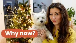 FINALLY neutering my Westie dog | Pros and cons