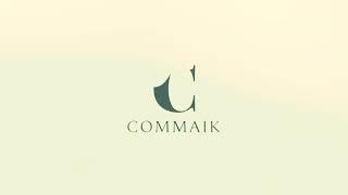 COMMAIK Build - Travel - Test