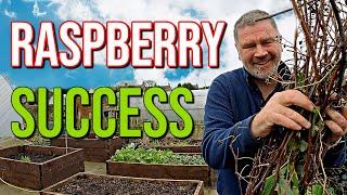 How To Grow Raspberries | Step by Step Guide To Growing Raspberries | How To Plant Raspberries