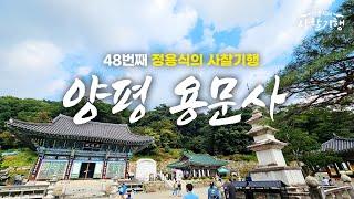 자연의 보물 : 사찰의 역사와 전통을 느끼는 명소 | 양평 용문사 | Temples of Korea | #48