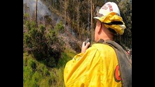 Purisma Fire  On First Day of Spring 