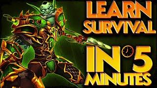 Survival Hunter Quick Guide