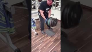 Goran Nikolic Rücken Training T Bar