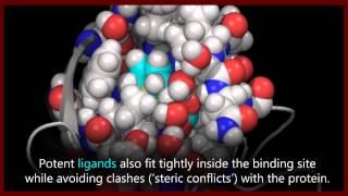 A basic introduction to drugs, drug targets, and molecular interactions.