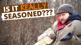 How To Tell If Firewood Is Seasoned (Without a Moisture Meter)