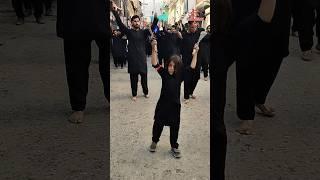 Arbaeen Juloos Parachinar | Chota Azadar #arbaeen #azadar #noha