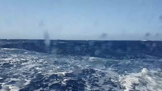 Traversée à la voile en solitaire entre Les Canaries et les Açores