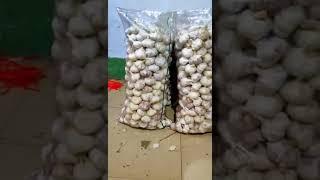 Garlic Price April 11, 2023